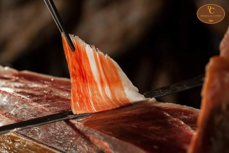 Imagen de WhatsApp 2023 11 08 a las 12.25.29 dfa85c34 768x512