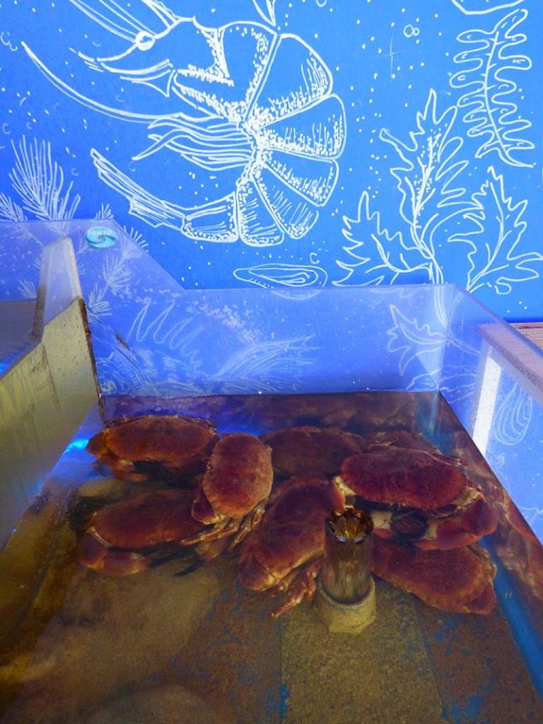 Restaurante Cocedero Suroeste en Merida el mejor marisco 10 768x1024